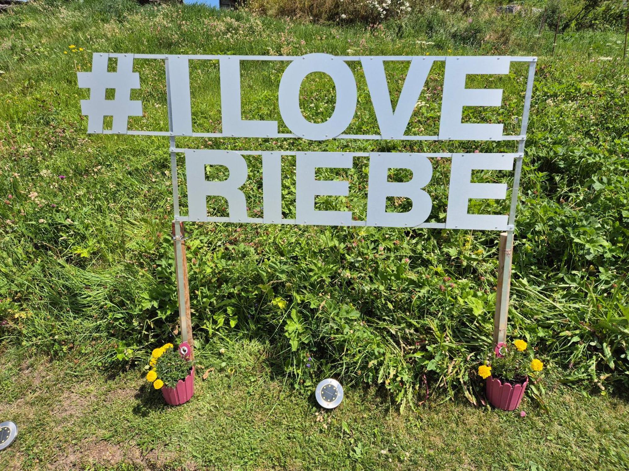 Apartament Riebe 331 Grächen Zewnętrze zdjęcie